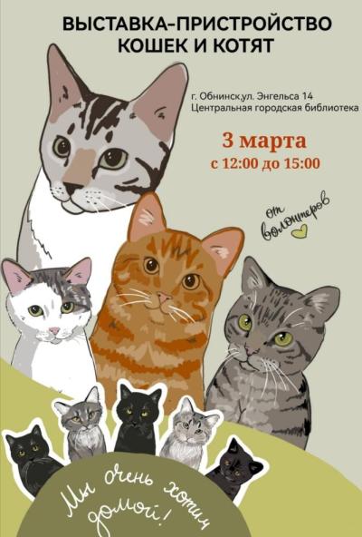 Afisha-go. Афиша мероприятий: Выставка—пристройство кошек и котят